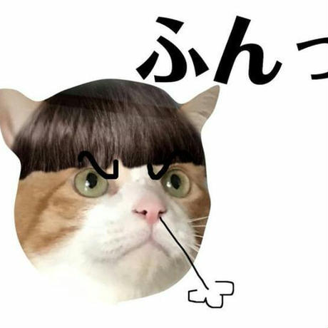 5cd91393e2954e4a3491a600
