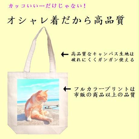 5be175b6ef843f16f80008ad