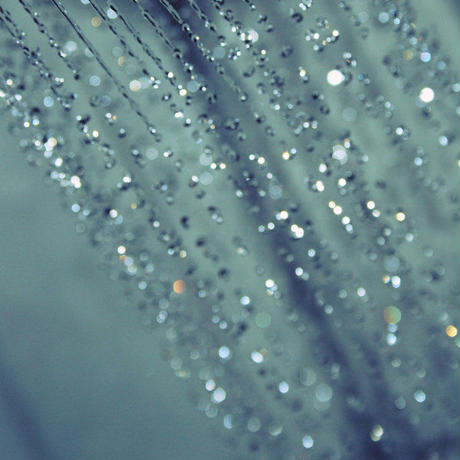 54d7f3e5391bb3015a001056