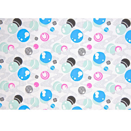 5a73d217f22a5b13ab00316b