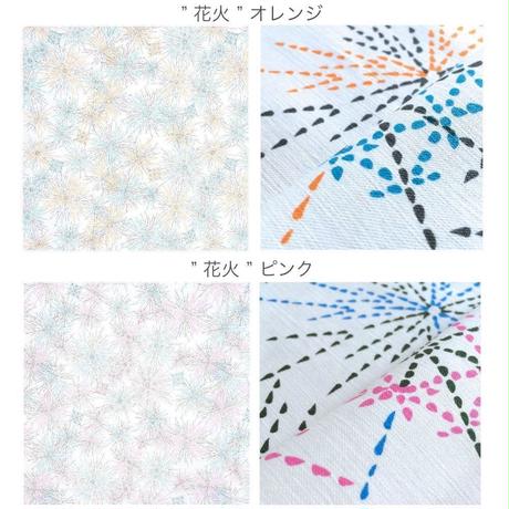 5afba6b85496ff099a001b5f