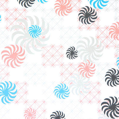 558ba111bfe24c7677004047