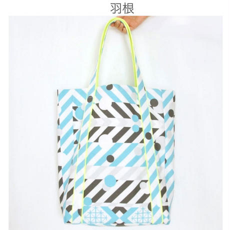 56f386d23cd482d9e60059e5