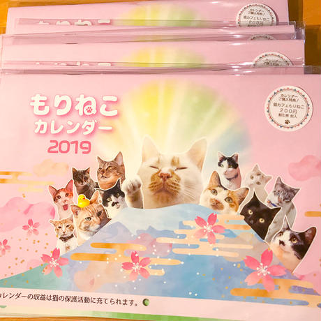 5b815f485496ff23b50008d7