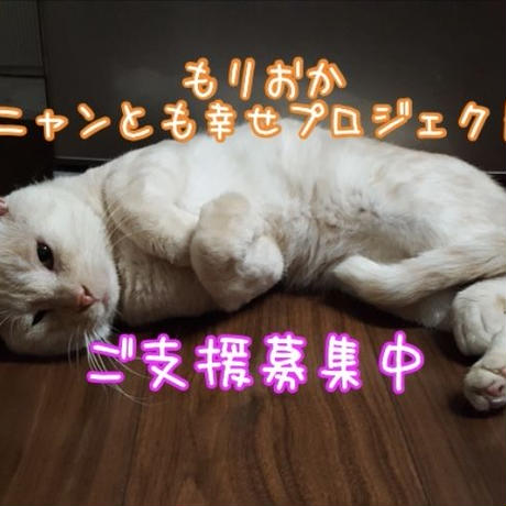 5ad58f7b434c720aa7000e82