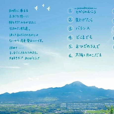 55e17565ef3377df89001795