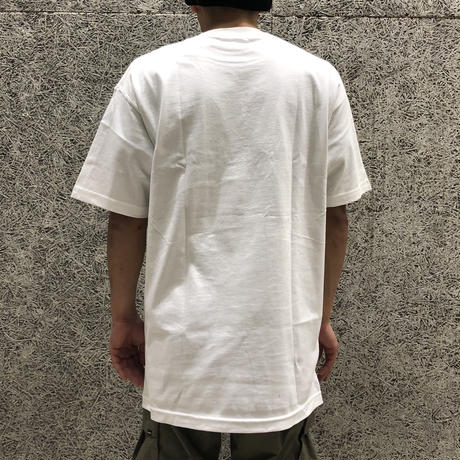 5e06e5136899fd37e1bf1945