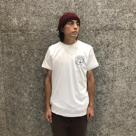 5b8e4d13ef843f21f80000cb