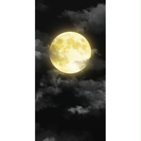 5ca6cbfb0686f33c1e58c176
