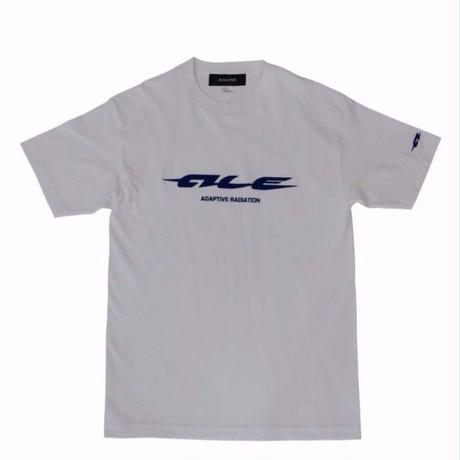 5b1f85295496ff7826000020