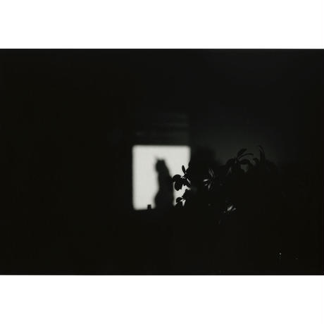 5e955fc034ef011e04989148