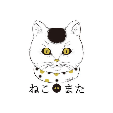 5cdf773fc843ce587dc5576b