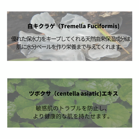 5cf496af0376c646afa95566