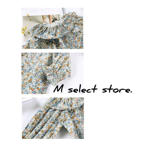 5a3ba829428f2d2ace000b75