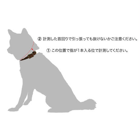5d2956bf8e69190d3123fc97
