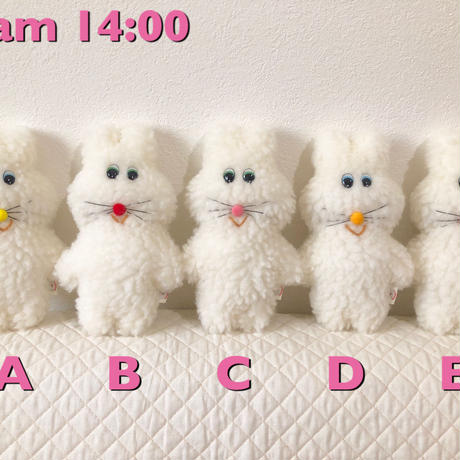 5c8b5f4796b05057b1da692f