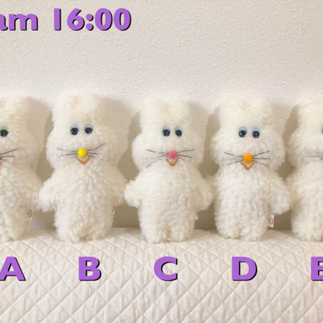 5c8b5f9f164eb15de71e6205