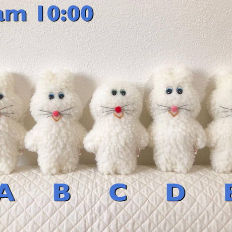 5c8b5e79785b8e5b1b0e27d3