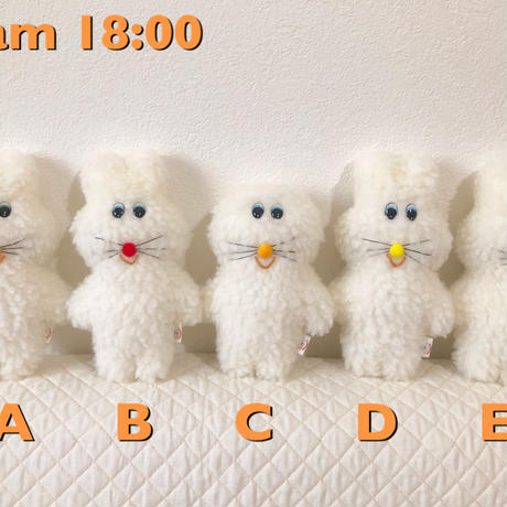 5c8b5ff3785b8e5a410e24be