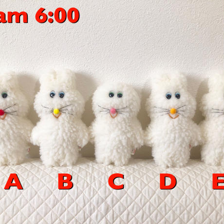 5c8b5cb8785b8e2f940e1d4d