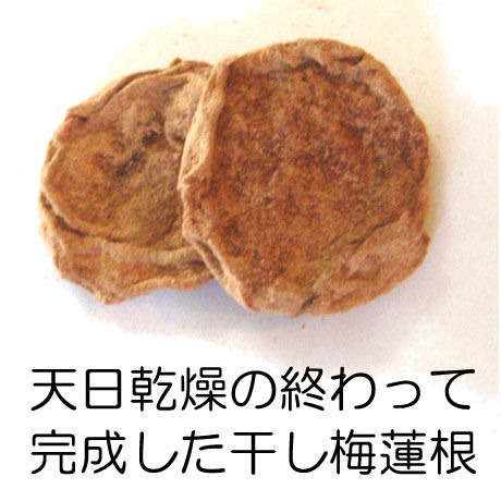 52e493ca3e7a4a2580000d42
