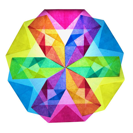 5c41666ec49cf335f475ce5e