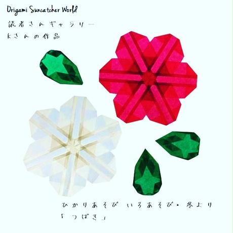 5c41569fc3976c5928554815