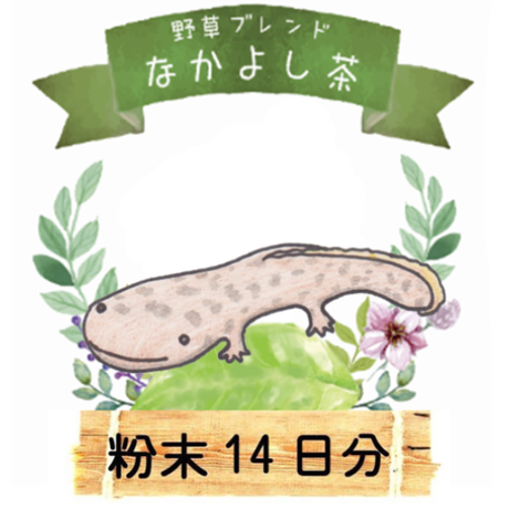 5c0b2ed6c49cf32a8fb3b5d7