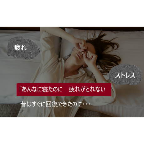 5cf0b11ea894521fc0b398ce