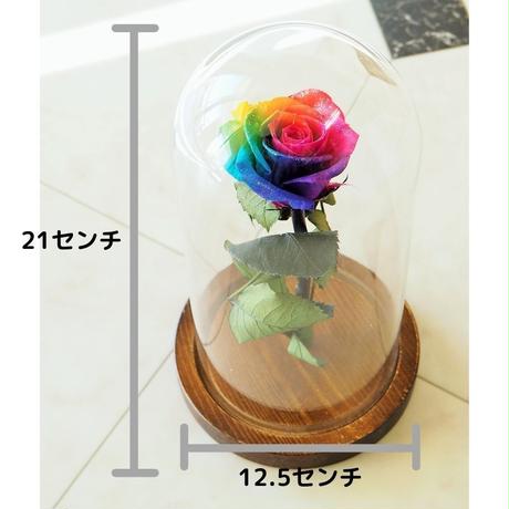 5dce55cde3900728935b347b