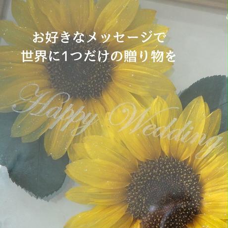 5f03cd5eec8fd347b5cf80e1