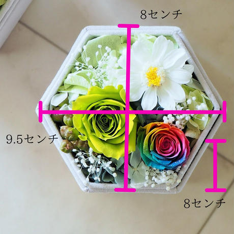5e8a8c1fe20b04777b8d09d5