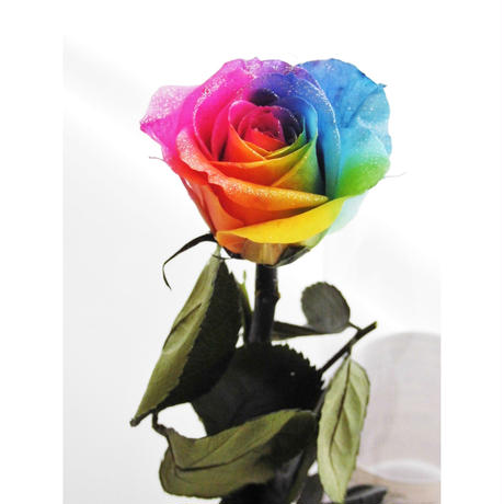 5b5ad25fef843f7f980001f3
