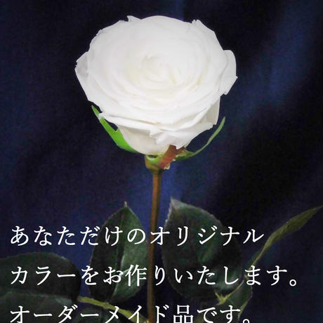 566fb796be6be38d61000f8f