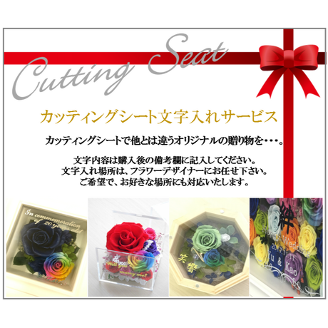 5714837a99c3cdbb51001a66