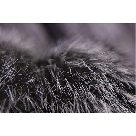55f10b8286b18801fa003063