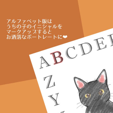 5e77884be20b040f5b566161