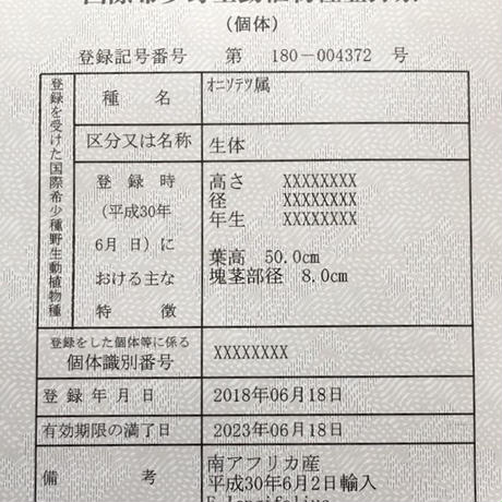 5bf78e4e7cd3616a0c000626