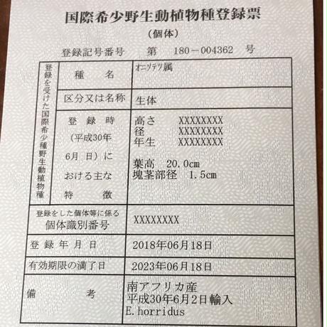 5b54533a5f786650a1001e52