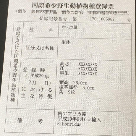 5a2cdf41428f2d78d000359a