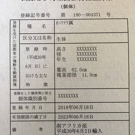 5b304d8f5f78667ae4003ba7