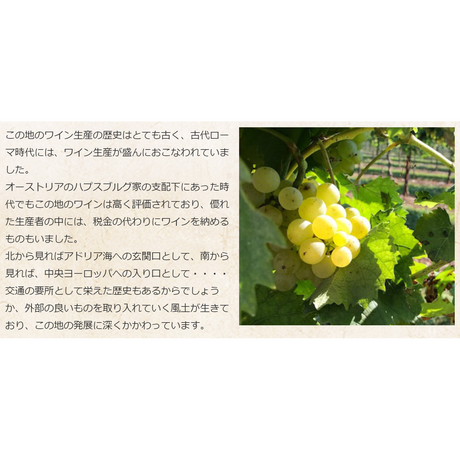5ec33ea5cee9ea150bd2e958