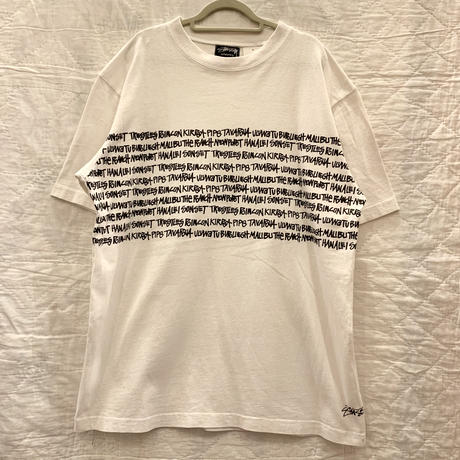 ステューシーtシャツ Stores