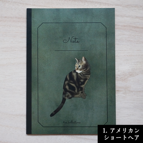 5c73795be73a2508e972072e