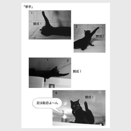 503f583356ea707f500000b5