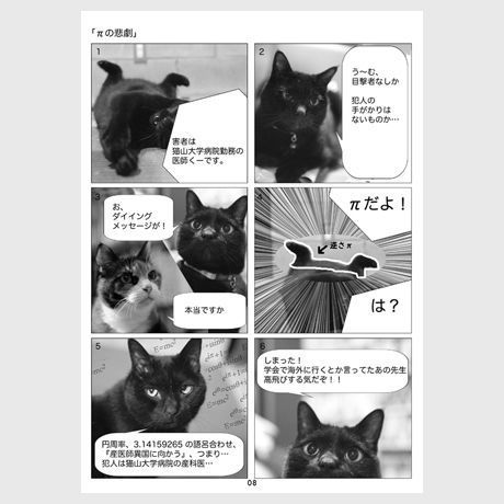 50e661cd56ea7048e9001dda
