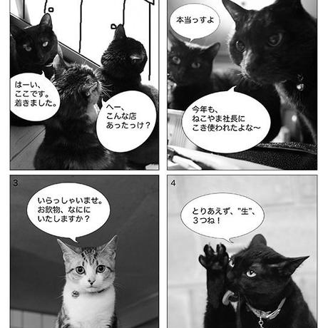 52c3cbc6236a1e34b70003a7