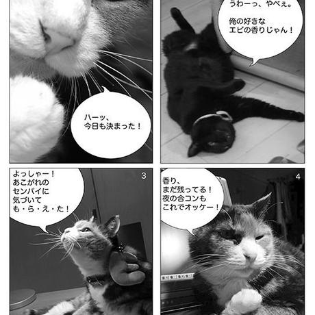 52c3cbc6236a1e34b70003a7