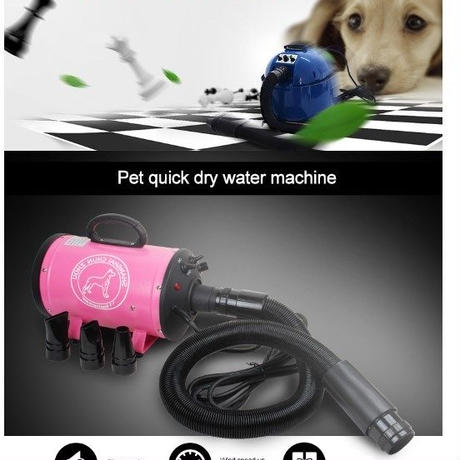 5af2bdce5496ff234c000942
