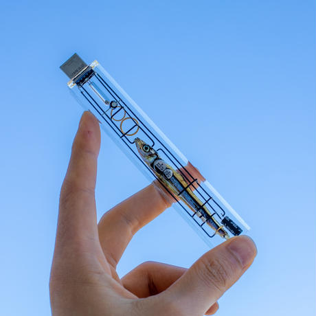 生体メモリ(64GB) Biological USB memory stick